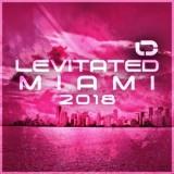Levitated Miami (2018) скачать через торрент