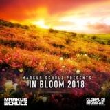 Markus Schulz - Global DJ Broadcast - In Bloom (2018) скачать через торрент