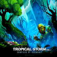 Tropical Storm vol.2 [Compiled by Cosmonet] (2018) скачать через торрент