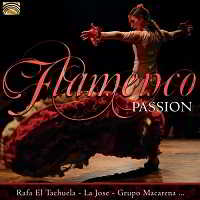 Flamenco Passion (2018) скачать через торрент