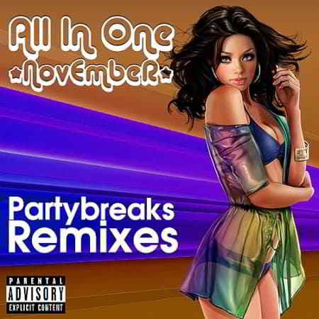 Partybreaks and Remixes - All In One November 009 (2019) скачать через торрент