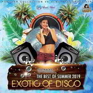 Exotic Of Disco: The Best Of Summer (2019) скачать через торрент