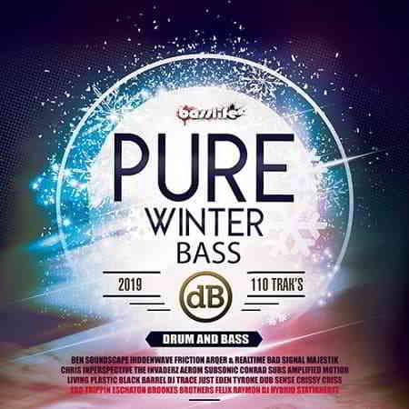 Pure Winter Bass (2019) скачать через торрент