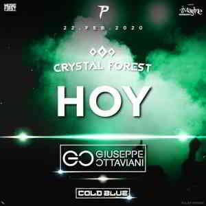 Cold Blue - Live @ Crystal Forest Medellin, Colombia 2020-02-22 (2020) скачать через торрент