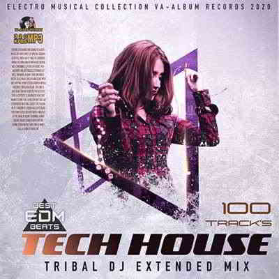 Tribal DJ Tech House (2020) скачать через торрент