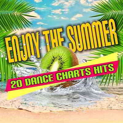 Enjoy The Summer: 20 Dance Chart Hits (2020) скачать через торрент