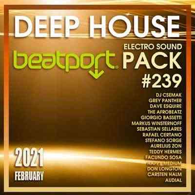Beatport Deep House: Electro Sound Pack #239 (2021) скачать через торрент