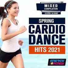 Spring Cardio Dance Hits 2021 (2021) скачать через торрент