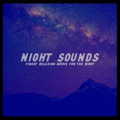 Night Sounds (2021) скачать торрент
