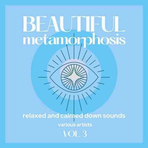Beautiful Metamorphosis [Relaxed and Calmed Down Sounds] Vol. 3 (2021) скачать через торрент