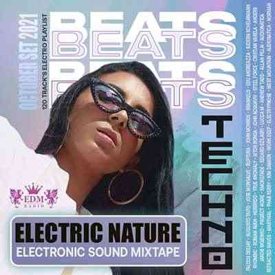 Techno Beats: Electronic Mixtape (2021) скачать через торрент