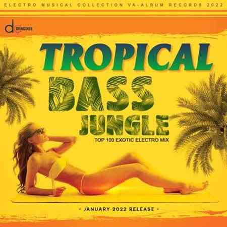 Tropical Bass: Exotic Jungle Mix (2022) скачать через торрент