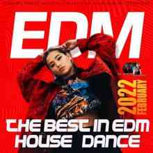 The Best In EDM: Dance House Mixtape (2022) скачать через торрент