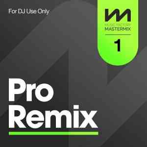 Mastermix Pro Remix 1 (2022) скачать через торрент