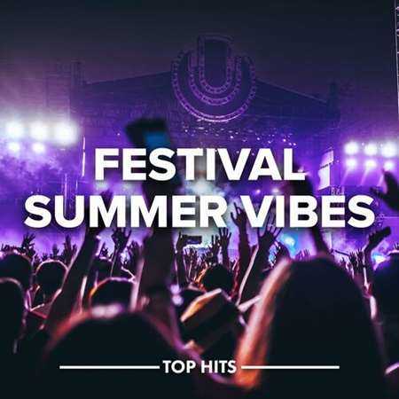 Festival Summer Vibes (2022) скачать через торрент