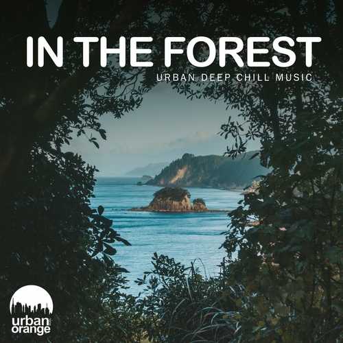 In the Forest: Urban Deep Chill Music (2022) скачать торрент