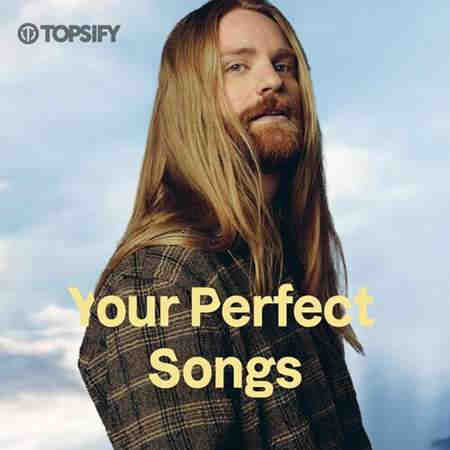Your Perfect Songs (2022) скачать торрент