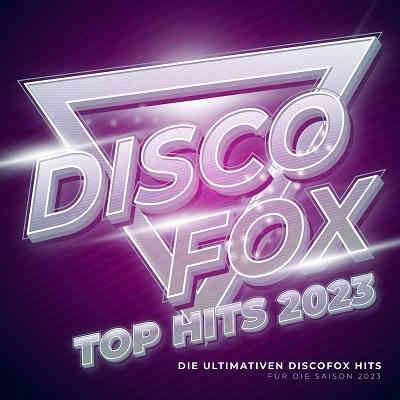 Discofox Top Hits 2023 (2023) скачать торрент