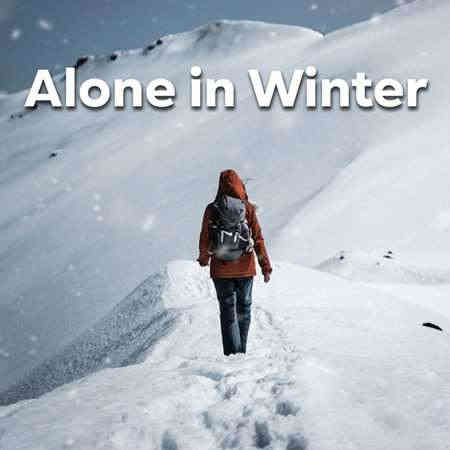 Alone In Winter (2022) скачать торрент