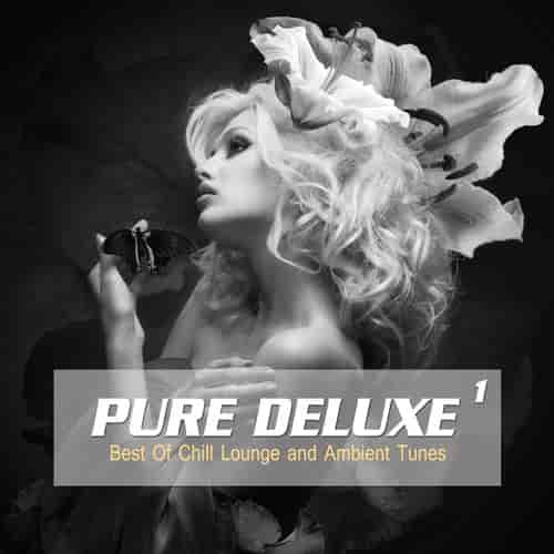 Pure Deluxe, Vol. 1-4 [Best of Chill Lounge and Ambient Tunes] (2022) скачать через торрент