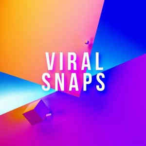 Viral Snaps (2022) скачать через торрент