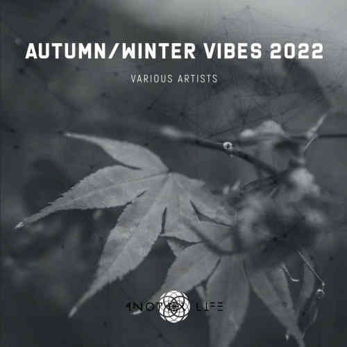 Autumn / Winter Vibes 2022 (2022) скачать торрент