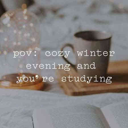 pov: cozy winter evening and you’re studying
