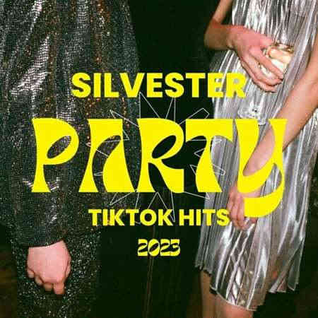 Silvester Party TikTok Hits 2023 (2023) скачать торрент