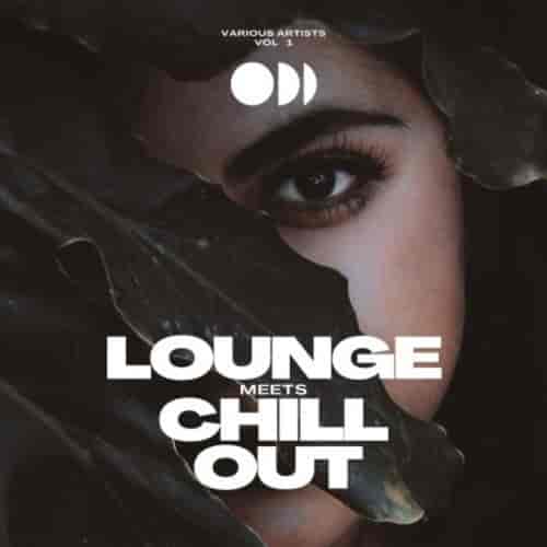 Lounge Meets Chill Out, Vol. 1