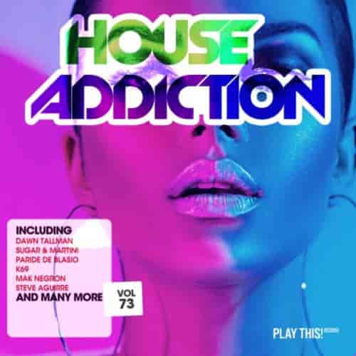 House Addiction, Vol. 73 (2022) скачать через торрент