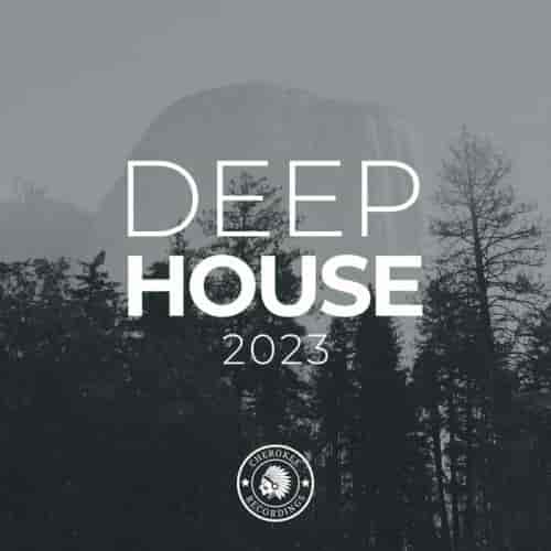 Deep House 2023 (2023) скачать через торрент