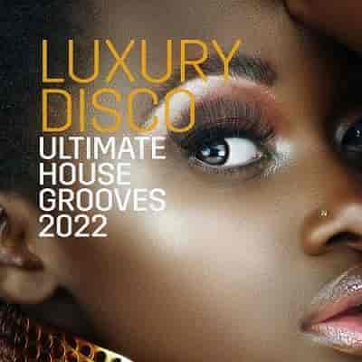 Luxury Disco - Ultimate House Grooves (2022) скачать через торрент
