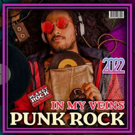 Punk Rock In My Veins