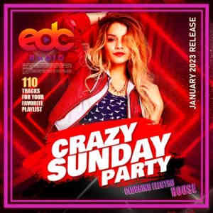 EDC: Crazy Sunday Party (2023) скачать через торрент