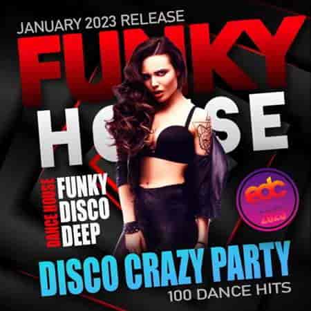 Funky House: Disco Crazy Party (2023) скачать торрент