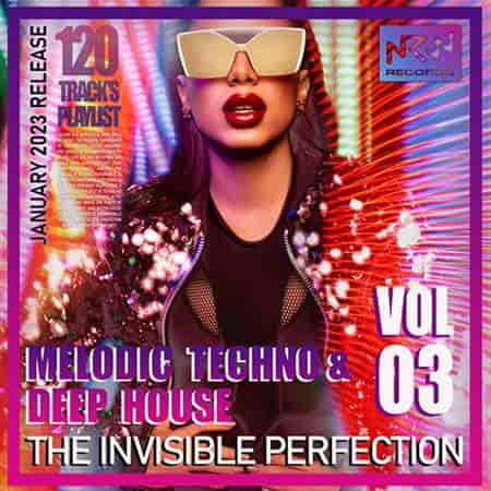 The Invisible Perfection Vol.03 (2023) скачать торрент