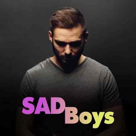 Sad Boys (2023) скачать торрент