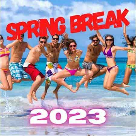 Spring Break (2023) скачать через торрент