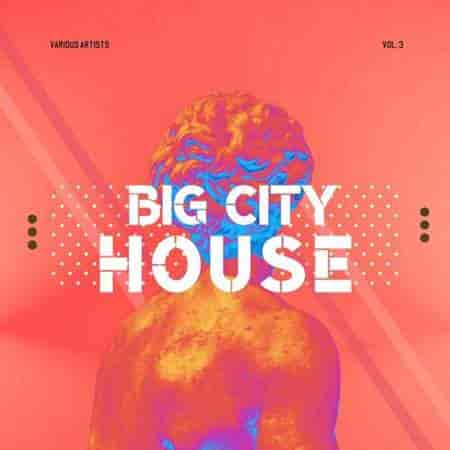 Big City House, Vol. 3 (2023) скачать торрент