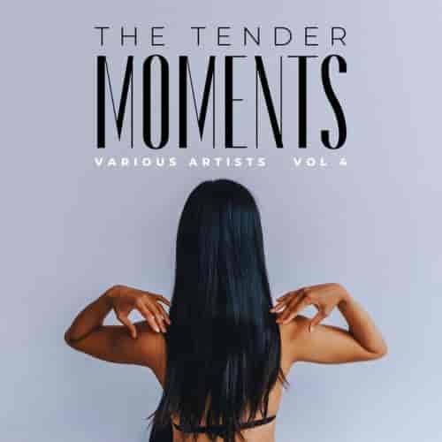 The Tender Moments, Vol. 4 (2023) скачать торрент