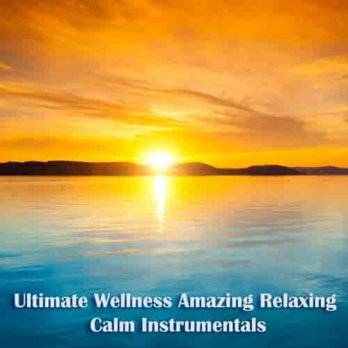 Ultimate Wellness Amazing Relaxing Calm Instrumentals (2023) скачать через торрент