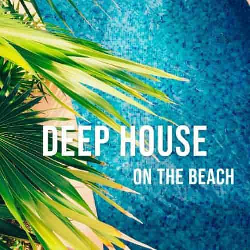Deep House On The Beach (2023) скачать через торрент
