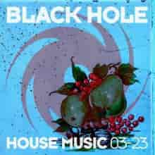 Black Hole House Music 03-23 (2023) скачать торрент
