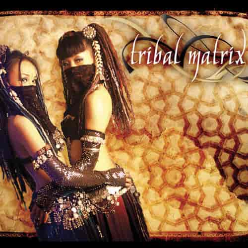 Tribal Matrix (2006) скачать через торрент