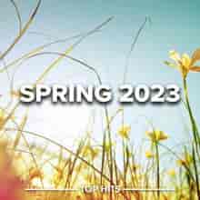 Spring 2023 (2023) скачать торрент