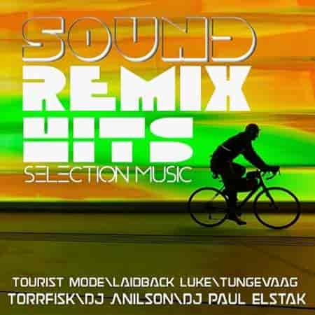 Selection Music Remix Hits Sound 02 (2023) скачать торрент