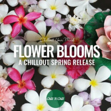Flower Blooms: Chillout Your Mind (2023) скачать торрент