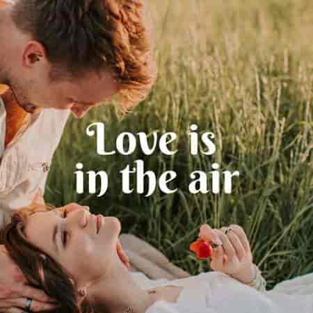 Love is in the air (2023) скачать торрент
