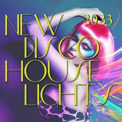 New Disco House Lights (2023) скачать торрент